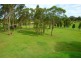 5 Burlington Avenue, Jilliby NSW 2259