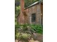 650 Brush  Creek  Road, Cedar Brush Creek NSW 2259