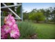 135 Excelsior Street, Lisarow NSW 2250
