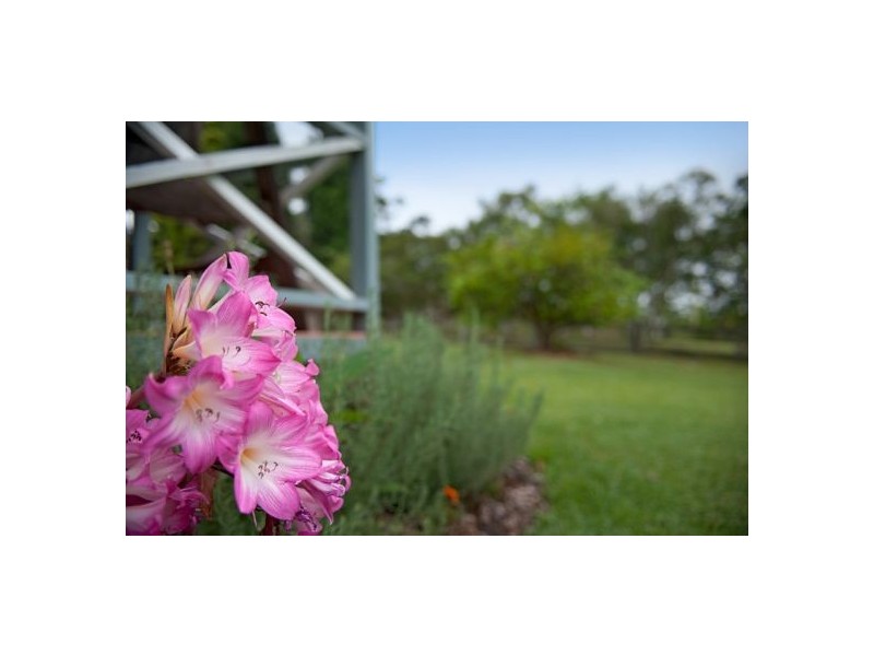 135 Excelsior Street, Lisarow NSW 2250