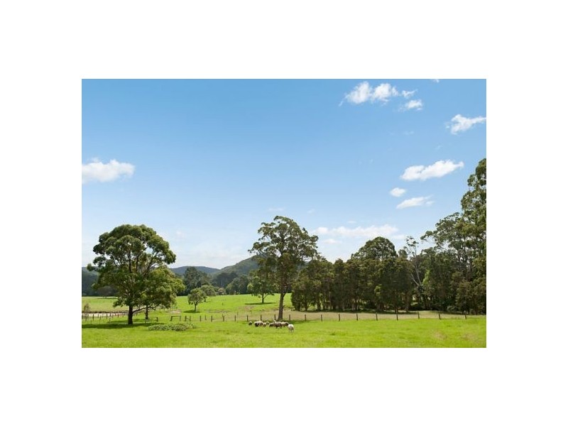 37  Little Jilliby Road, Little Jilliby NSW 2259