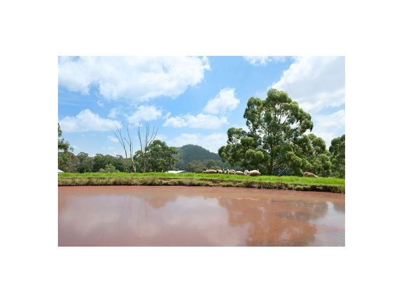 37  Little Jilliby Road, Little Jilliby NSW 2259