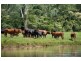 Lot 2 Little Jilliby Road, Little Jilliby NSW 2259