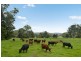 Lot 2 Little Jilliby Road, Little Jilliby NSW 2259