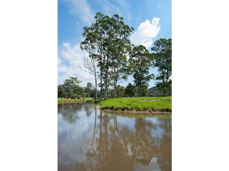 Lot 2 Little Jilliby Road, Little Jilliby NSW 2259