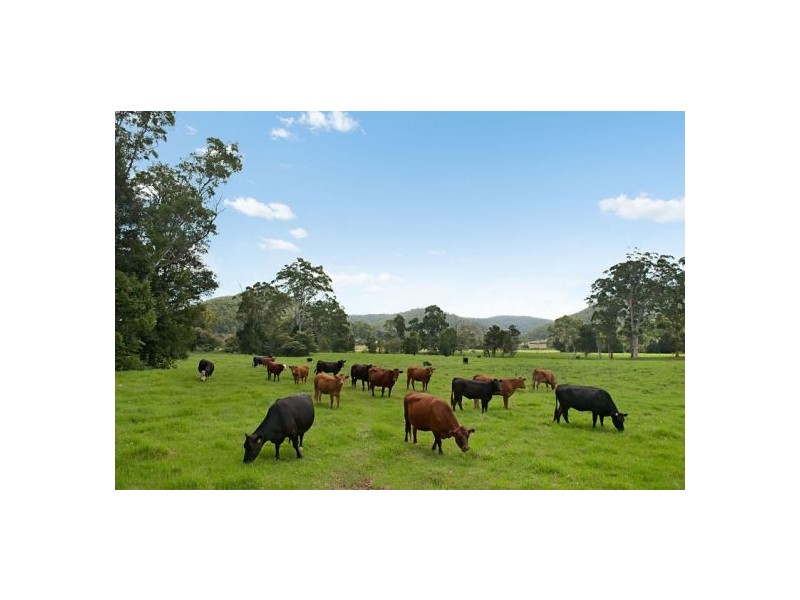 Lot 2 Little Jilliby Road, Little Jilliby NSW 2259
