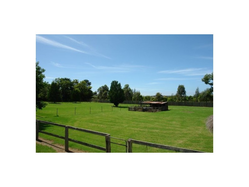 99 Pollock Avenue, Wyong NSW 2259