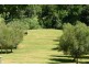 665 Brush Creek Road, Cedar Brush Creek NSW 2259