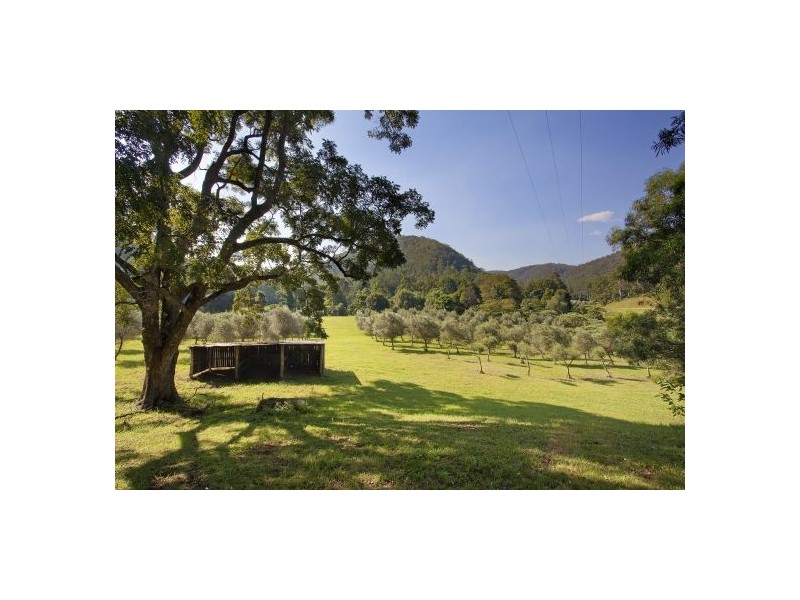 665 Brush Creek Road, Cedar Brush Creek NSW 2259