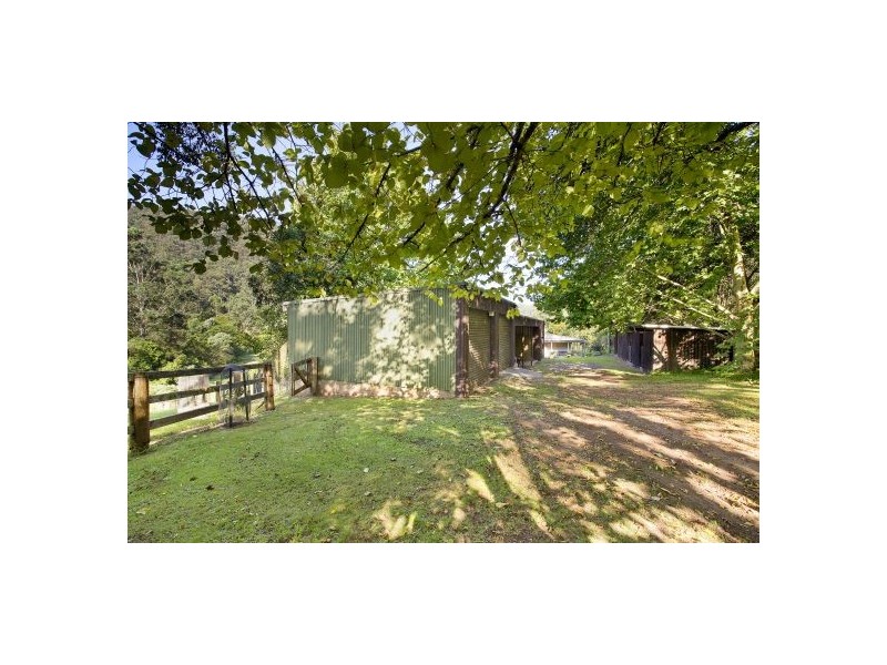 665 Brush Creek Road, Cedar Brush Creek NSW 2259