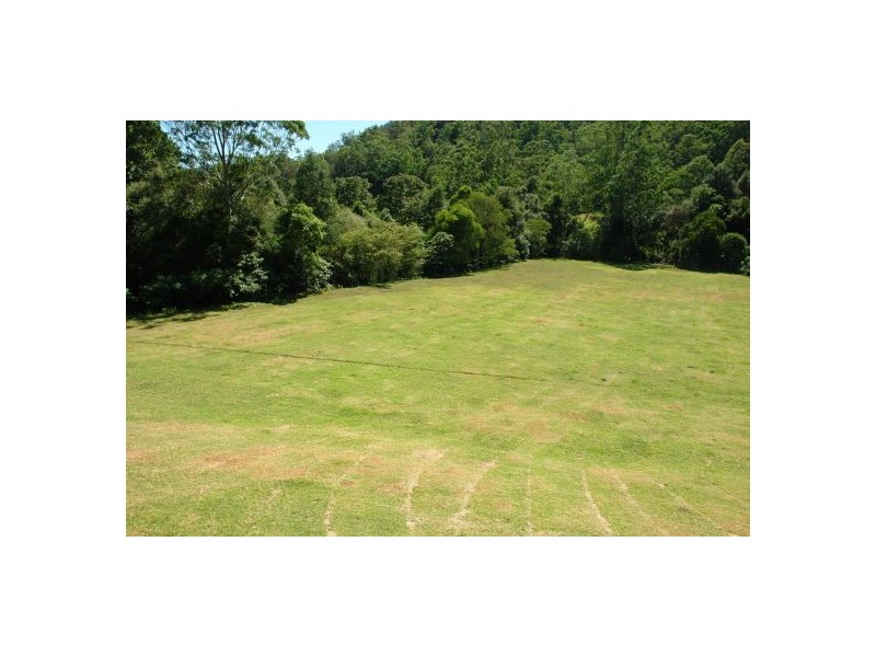 665 Brush Creek Road, Cedar Brush Creek NSW 2259