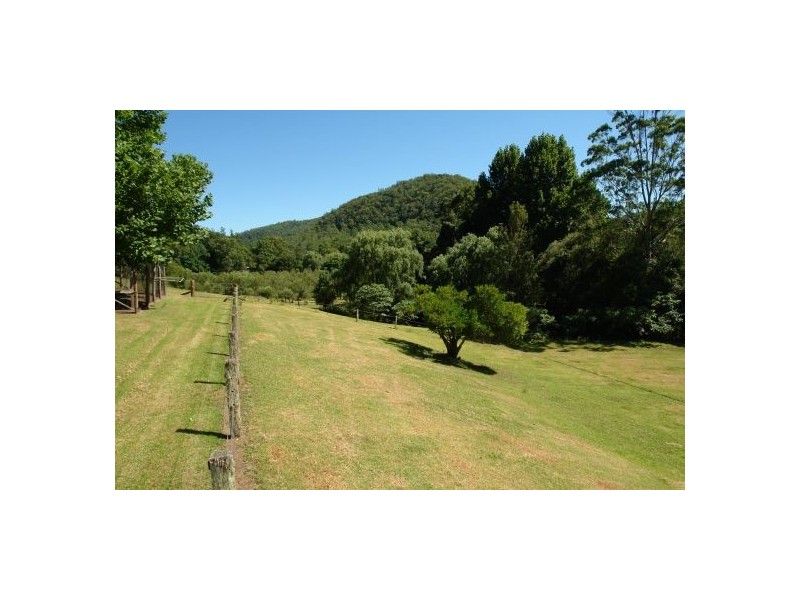 665 Brush Creek Road, Cedar Brush Creek NSW 2259