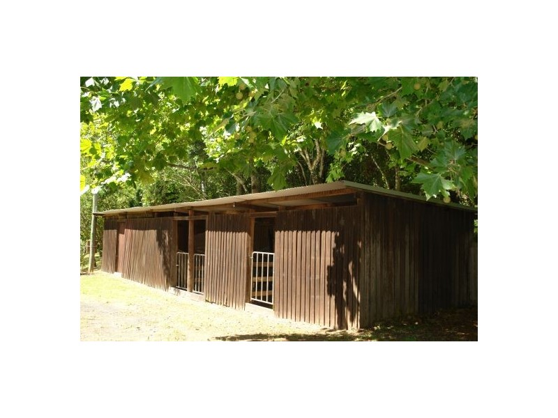 665 Brush Creek Road, Cedar Brush Creek NSW 2259