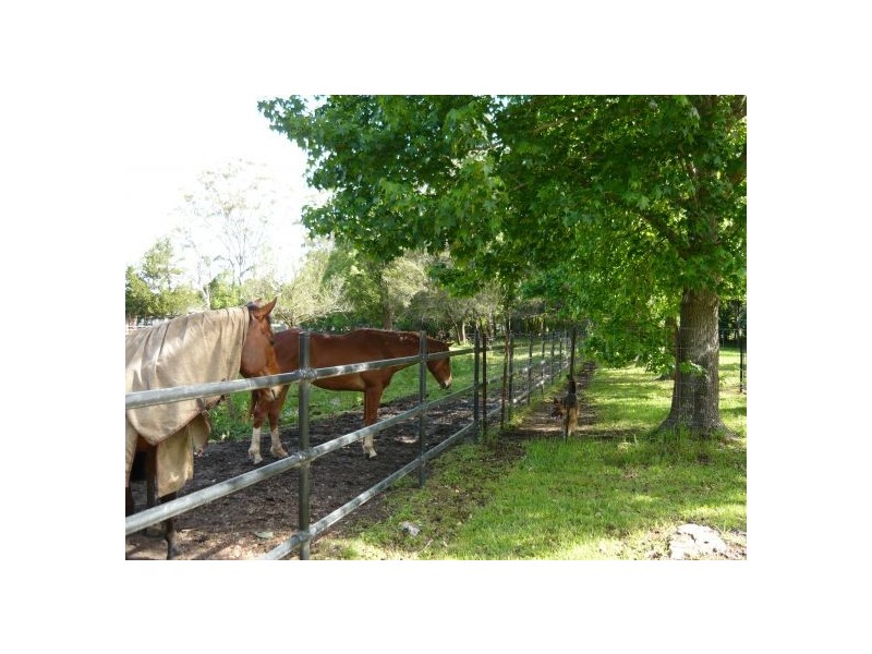 152 Pollock Avenue, Wyong NSW 2259