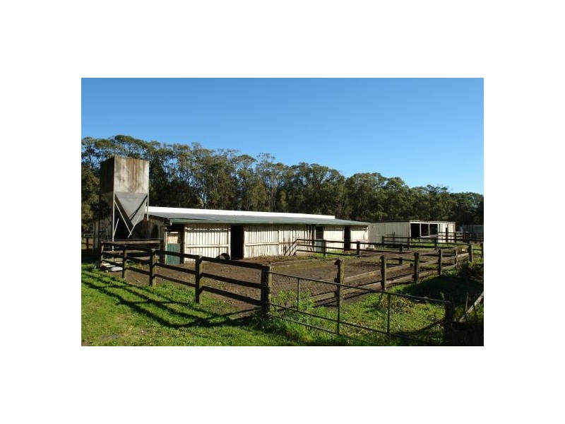 152 Pollock Avenue, Wyong NSW 2259