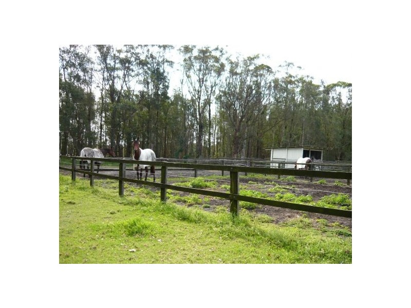 152 Pollock Avenue, Wyong NSW 2259