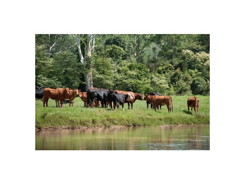 Lot 2 Little Jilliby Road, Jilliby NSW 2259