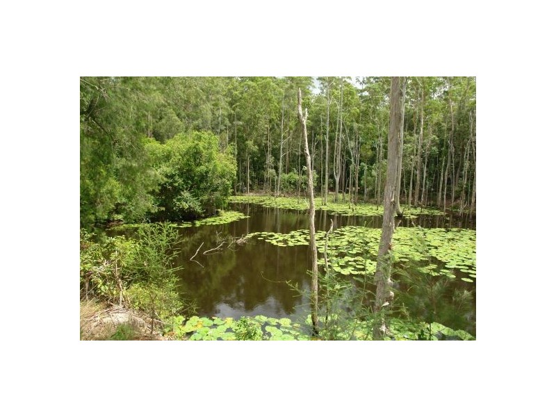 83   Phil  Tunks  Lane, Lemon Tree NSW 2259