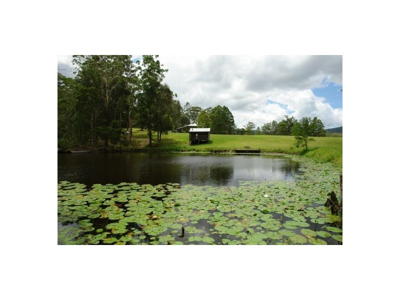 83   Phil  Tunks  Lane, Lemon Tree NSW 2259