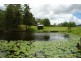 83 Phil Tunks Lane, Dooralong NSW 2259