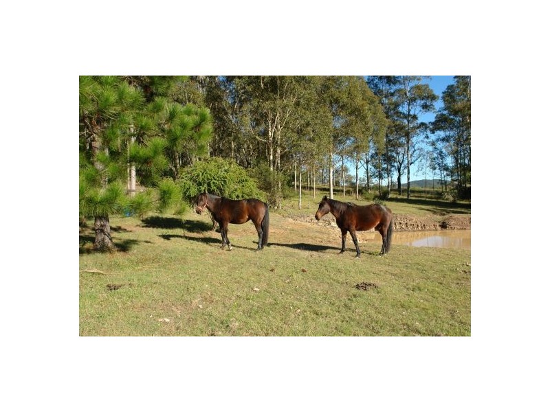 56 Hue Hue Road, Alison NSW 2259