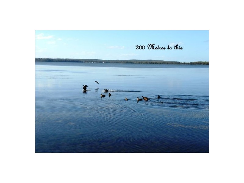 10 Kewalo Avenue, Budgewoi NSW 2262