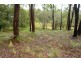 39 Fishery Point Road, Mirrabooka NSW 2264