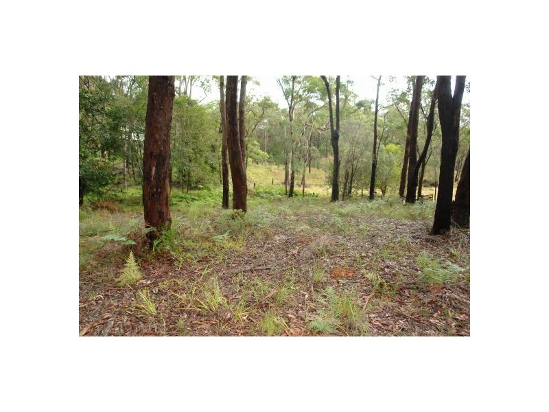 39 Fishery Point Road, Mirrabooka NSW 2264