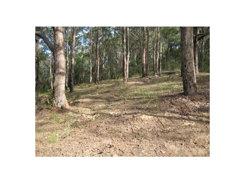 Lot 300 Rose Hill Lane, Yarramalong NSW 2259