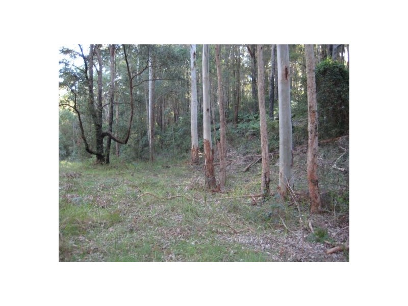 Lot 300 Rose Hill Lane, Yarramalong NSW 2259