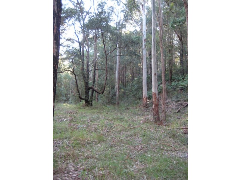 Lot 300 Rose Hill Lane, Yarramalong NSW 2259
