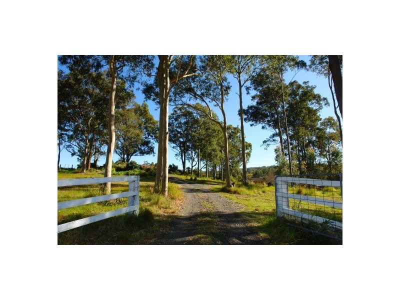 20  Burlington Avenue, Jilliby NSW 2259