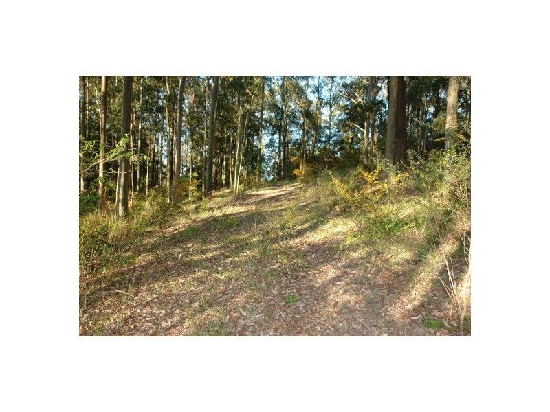 34  Lauffs Lane, Wyong Creek NSW 2259