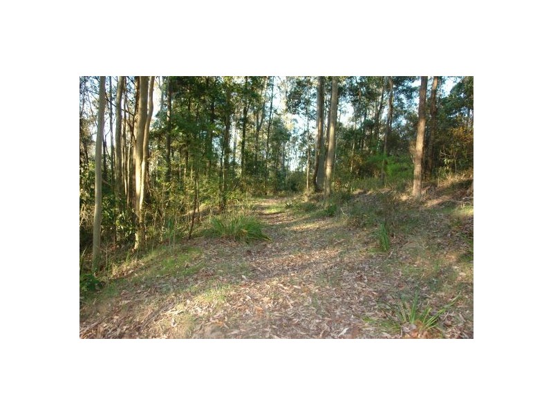 34  Lauffs Lane, Wyong Creek NSW 2259