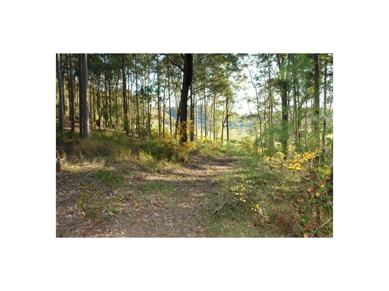 34  Lauffs Lane, Wyong Creek NSW 2259