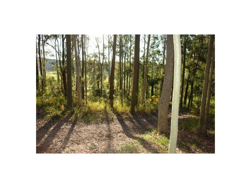 34  Lauffs Lane, Wyong Creek NSW 2259