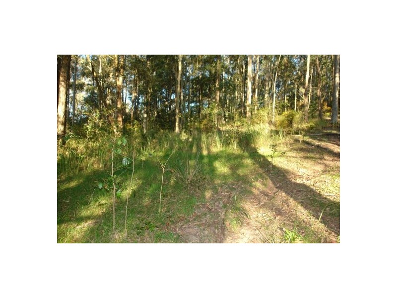 34  Lauffs Lane, Wyong Creek NSW 2259