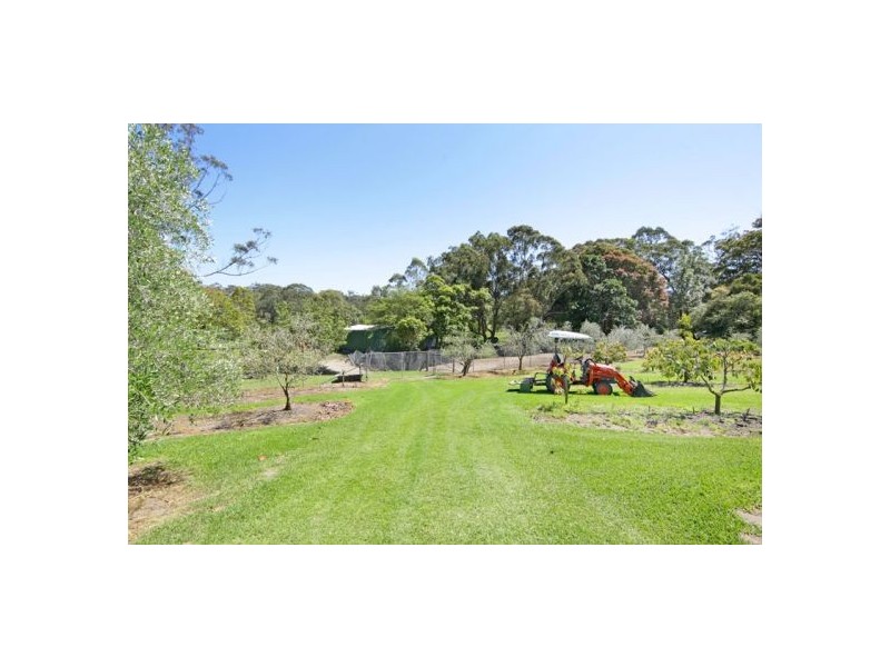 16 Palm Springs Avenue, Glenning Valley NSW 2261