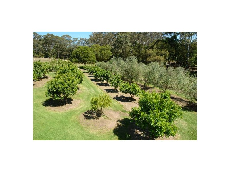 16 Palm Springs Avenue, Glenning Valley NSW 2261