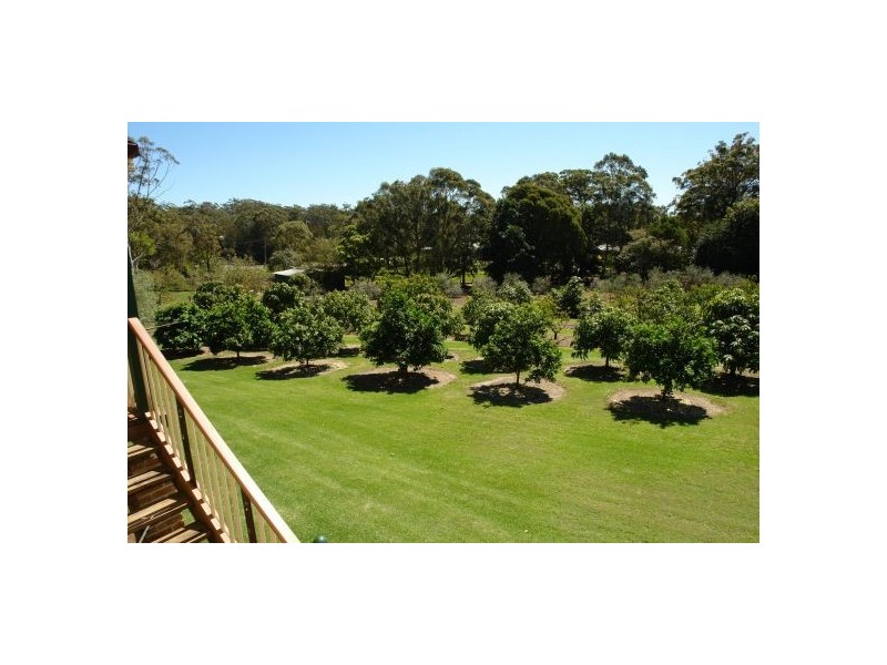 16 Palm Springs Avenue, Glenning Valley NSW 2261