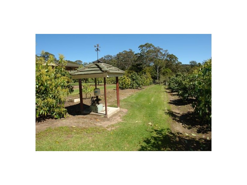16 Palm Springs Avenue, Glenning Valley NSW 2261