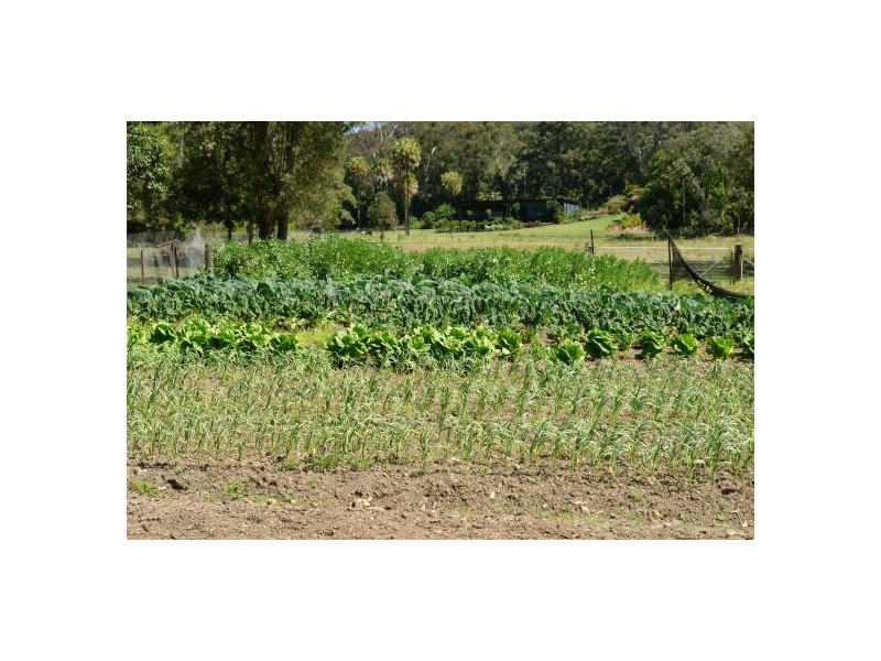 16 Palm Springs Avenue, Glenning Valley NSW 2261