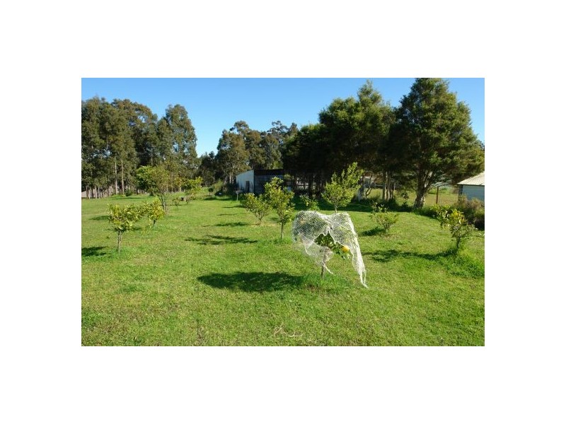 20 Burlington Avenue, Jilliby NSW 2259