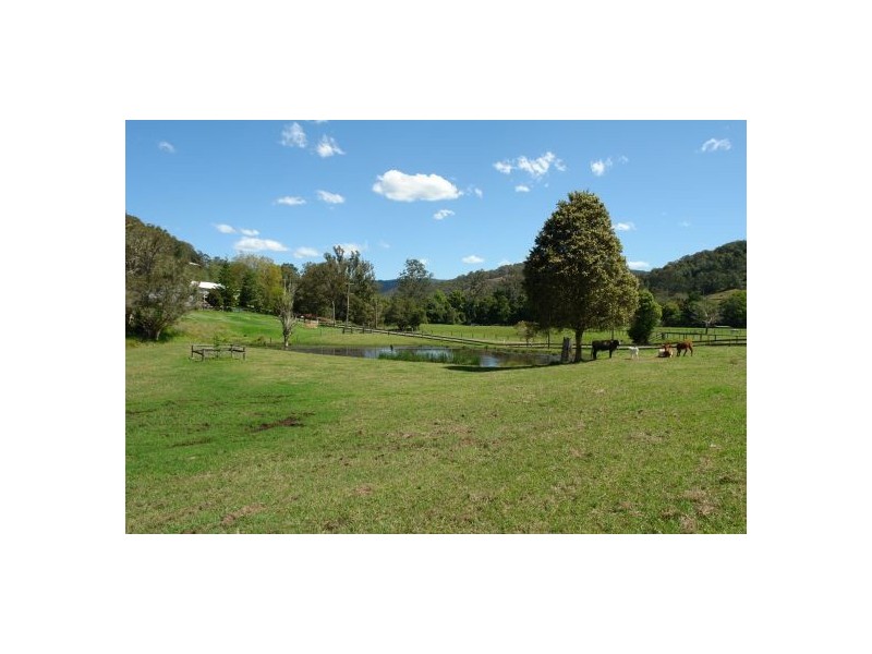 1821 Yarramalong Road, Yarramalong NSW 2259