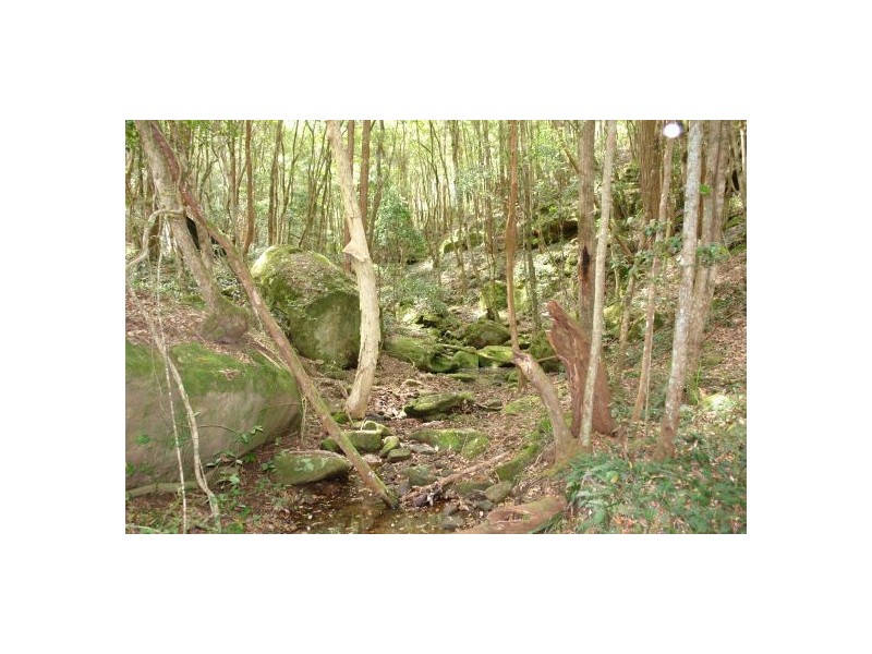 1821 Yarramalong Road, Yarramalong NSW 2259