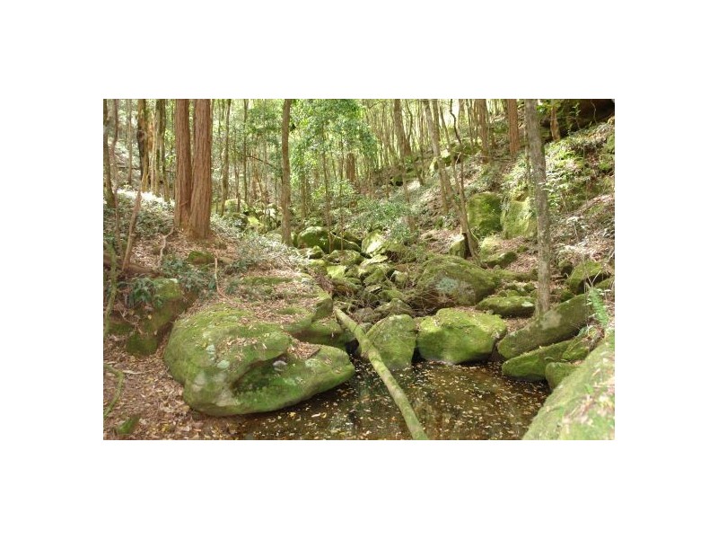 1821 Yarramalong Road, Yarramalong NSW 2259