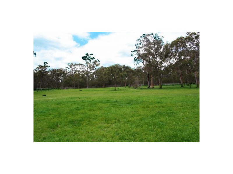 135 Bruce Crescent, Warnervale NSW 2259