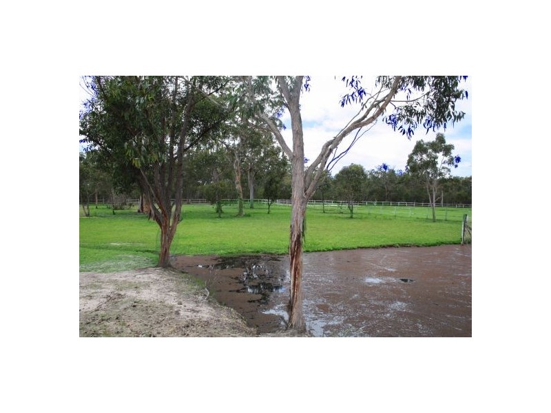 135 Bruce Crescent, Warnervale NSW 2259