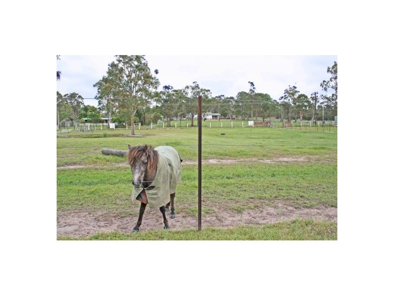 135 Bruce Crescent, Warnervale NSW 2259