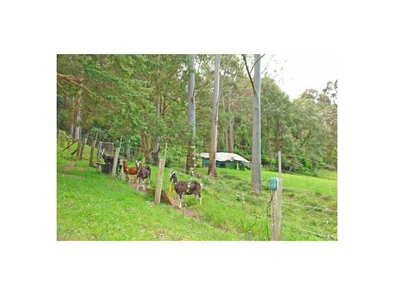 1 Heathcliff Close, Fountaindale NSW 2258